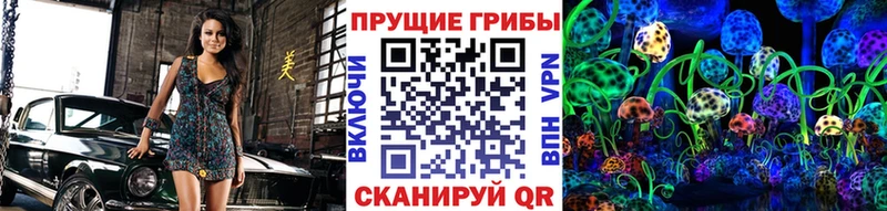 Псилоцибиновые грибы ЛСД цены Абакан