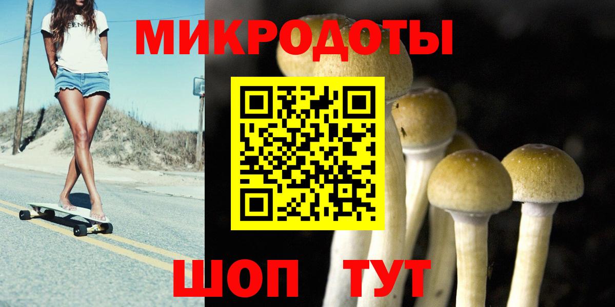 Галлюциногенные грибы мицелий Абакан