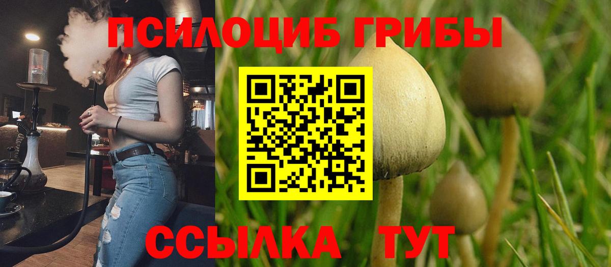 Галлюциногенные грибы Cubensis  цены наркотик  Галлюциногенные грибы мухоморы  Абакан  Вход с VPN 